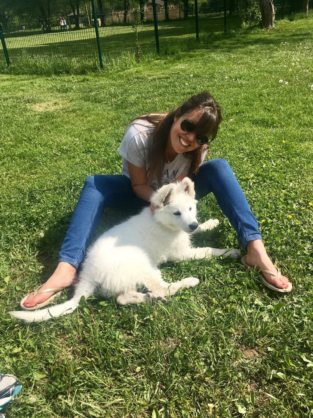 Accompagnement à l'accueil d'un chiot dans un nouveau foyer
