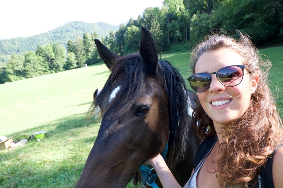 Cheval en relation de confiance avec son humain